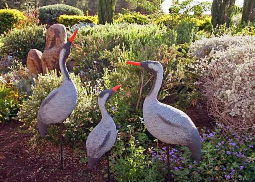 Musical Garden Cabins Ramot Room photo